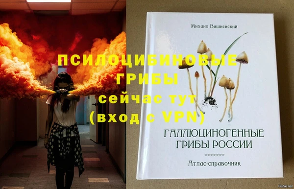 крисы Алексин