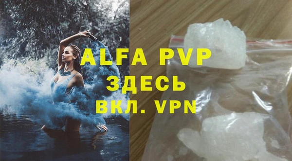 крисы Алексин