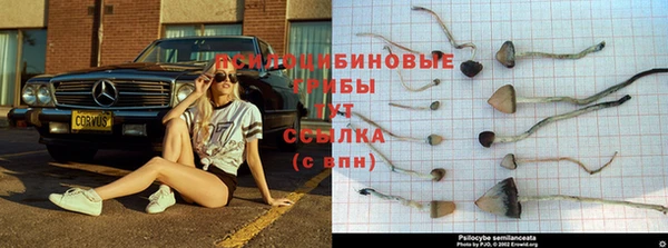 мет Алзамай