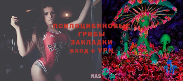 крисы Алексин