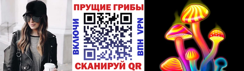 Псилоцибиновые грибы Psilocybine cubensis  где найти наркотики  Андреаполь 